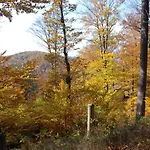 Ferienwohnung-bergblick * Bad Harzburg
