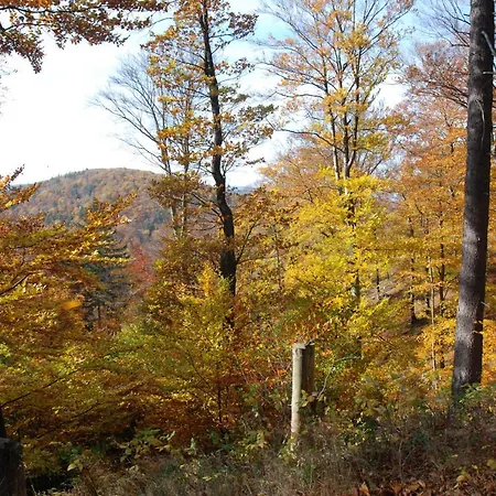 Ferienwohnung-bergblick * Bad Harzburg